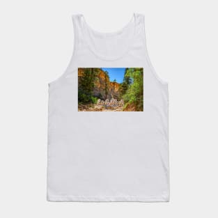 Lick Wash Trail Hike Tank Top